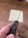 IMG_8738.jpeg