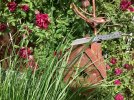 IMG_1342.jpeg