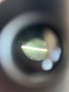IMG_6603.jpeg