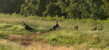 20250818_074631.jpg