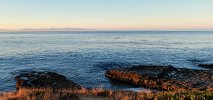 IMG_2376.jpeg