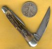 Willamette EDC 1.jpg