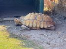 IMG_1892.jpeg