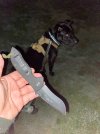 IMG_9070.jpeg