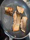 IMG_6193.jpeg