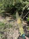 IMG_6626.jpeg