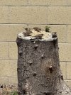 IMG_1897.jpeg