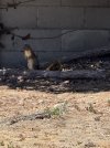 IMG_1903.jpeg