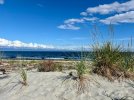 IMG_5935.jpeg