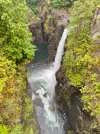 IMG_5915.jpeg