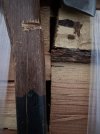 IMG_9295.jpeg
