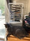 IMG_0046.jpeg
