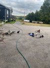 IMG_5313.jpeg