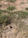 IMG_3608.jpeg