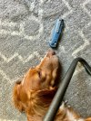 IMG_2568.jpeg