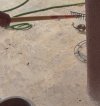 IMG_0796.jpeg