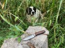 IMG_0626.jpeg