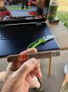 IMG_1955.jpeg