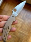 IMG_8242.jpeg