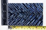 mammoth scales and blocks 078 (800x533).jpg
