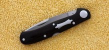 blacksnake 1.jpg