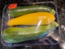 IMG_5942.jpeg