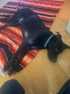 IMG_8997.jpeg