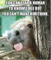 IMG_0592.jpeg