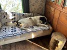 IMG_0679.jpeg