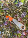 IMG_4595.jpeg