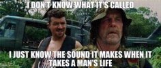 IMG_8039.jpeg