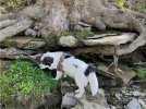 IMG_0723.jpeg