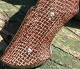 IMG_0754.jpeg