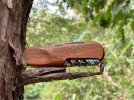walnut10 3.JPG