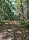IMG_6694.jpeg