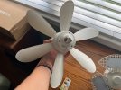 IMG_6725.jpeg