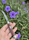 IMG_6603.jpeg