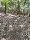 IMG_0692.jpeg