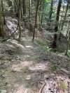 IMG_0694.jpeg