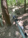 IMG_0704.jpeg