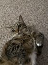 IMG_1978.jpeg