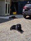 IMG_20250828_141935.jpg