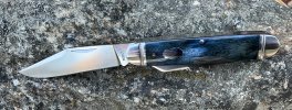 IMG_2717.jpeg