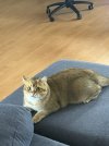 IMG_6704.jpeg