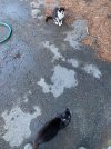 IMG_5541.jpeg