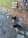 IMG_5542.jpeg