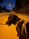 IMG_9190.jpeg