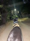 IMG_9192.jpeg