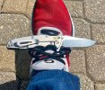 IMG_8100.jpeg
