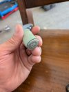 PXL_20250830_194652875.MACRO_FOCUS.jpg